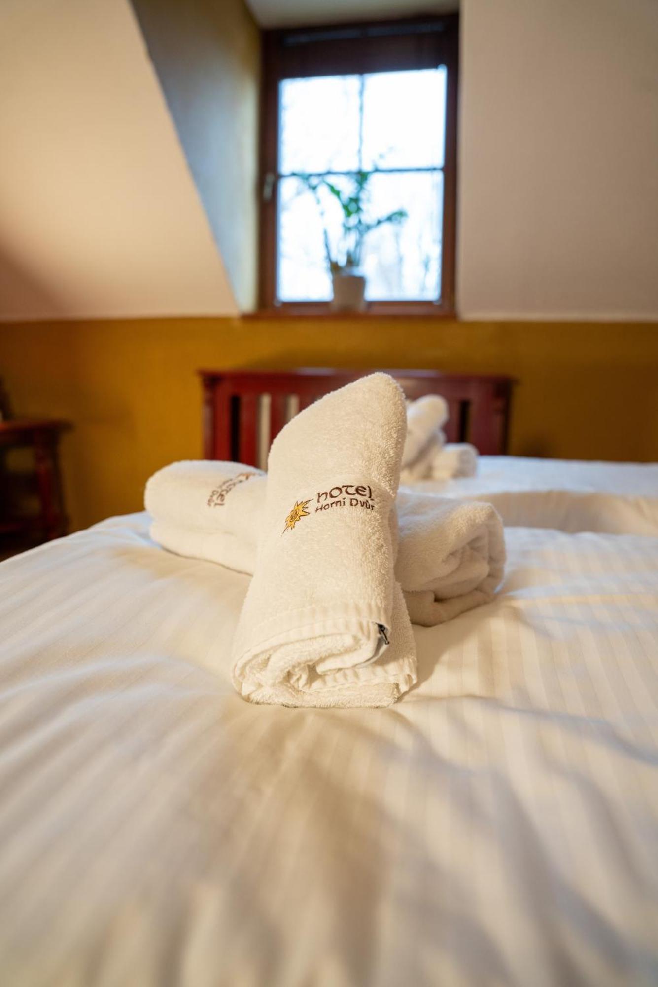 Hotel Horni Dvur Nove Mesto na Morave Dış mekan fotoğraf